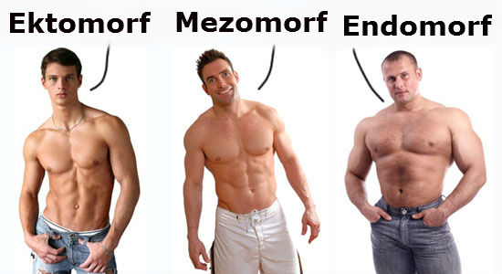 Hər tip(ektomorf, mezomorf, endomorf) bədən quruluşu üçün məşq proqramları
